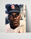 Bob Gibson Autograph Print - Back-Turned Wind-Up - Fear the 45