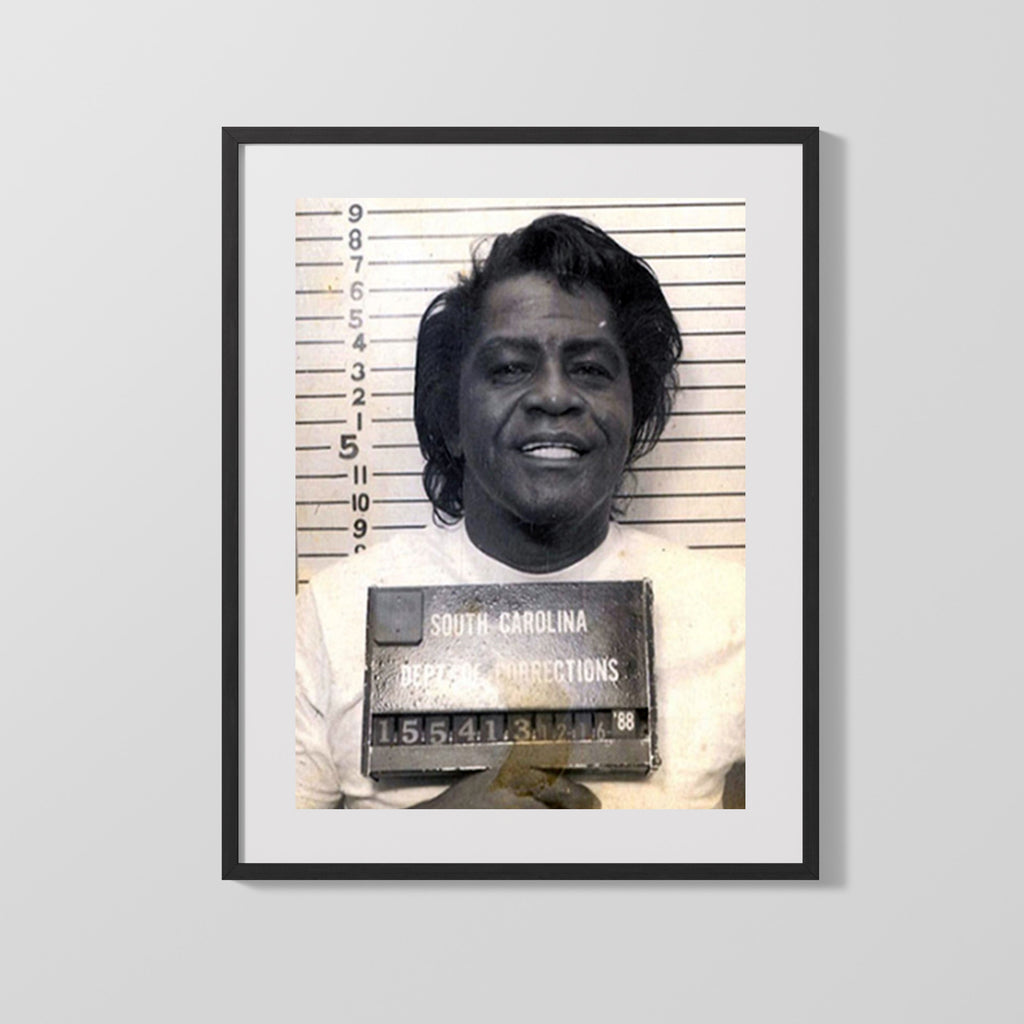 Celebrity Mug Shot - James Brown - Godfather of Mugshots Mug Shots Vintage Framed Prints Gallery Frame 16x20