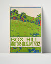 Classic Travel Poster - England - Box Hill Travel Vintage Framed Prints Poster 16x20