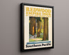 Classic Travel Poster - Redwood - Southern Pacific Travel Vintage Framed Prints Floating Canvas 16x20