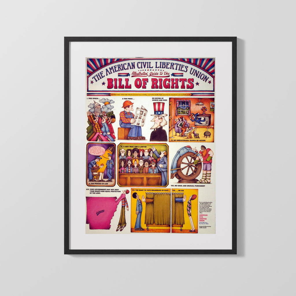 Counter Culture Poster - Bill of Rights Illustrated Guide Counter Culture Vintage Framed Prints Gallery Frame 16x20