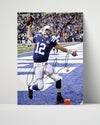 Football Autograph Print - &rew Luck - End Zone Fury Football Vintage Framed Prints Poster 16x20