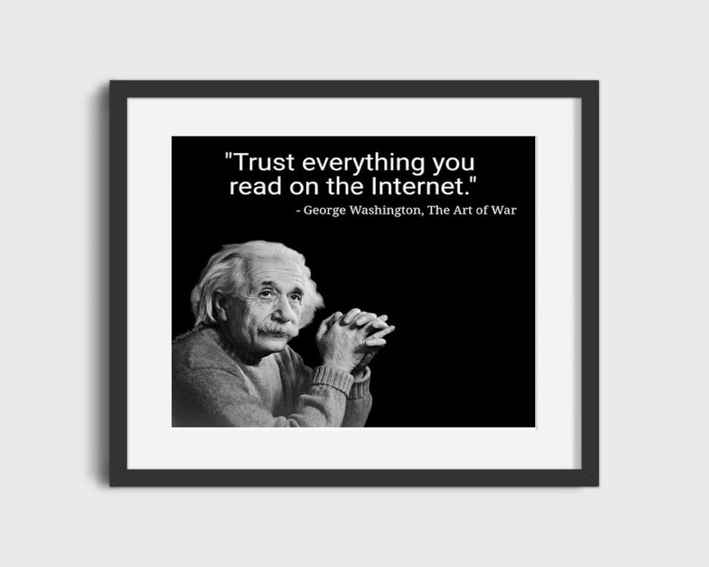 Humor Poster - Trust Everything - Internet Wisdom Humor Vintage Framed Prints Gallery Frame 16x20