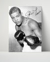 Joe Louis Autograph Print - Classic Stance - Brown Bomber Power Boxing FSPrints Poster 16x20