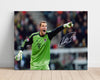 Manuel Neuer - Bayern Munich - Commanding the Defense Soccer FramedSportPrints Poster 16x20