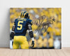 Michigan Autograph Print - Jim Harbaugh - QB Grit College FSPrints Poster 16x20