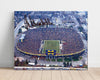 Michigan Autograph Print - Tom Brady Pocket Poise - Future GOAT College FSPrints Poster 16x20