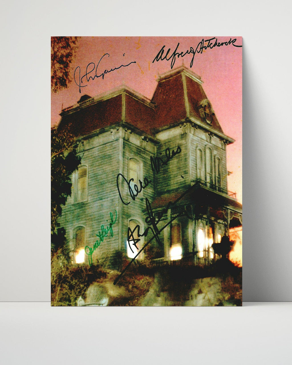 Movie Autograph Print Unframed - Psycho - Haunted House Cast Movies Unframed FSPrints Poster 16x20