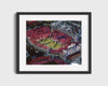 Nebraska Autograph Print - Memorial Stadium Legends - Sea of Red Signed in Ink College FSPrints Gallery Frame 16x20