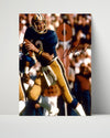 Pitt Autograph Print - Dan Marino - Panther Cannon Arm College FSPrints Poster 16x20