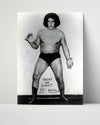 Wrestling Autograph Photo - Andre the Giant Full Body - 7ft 4 of Power Wrestling FramedSportPrints Poster 16x20