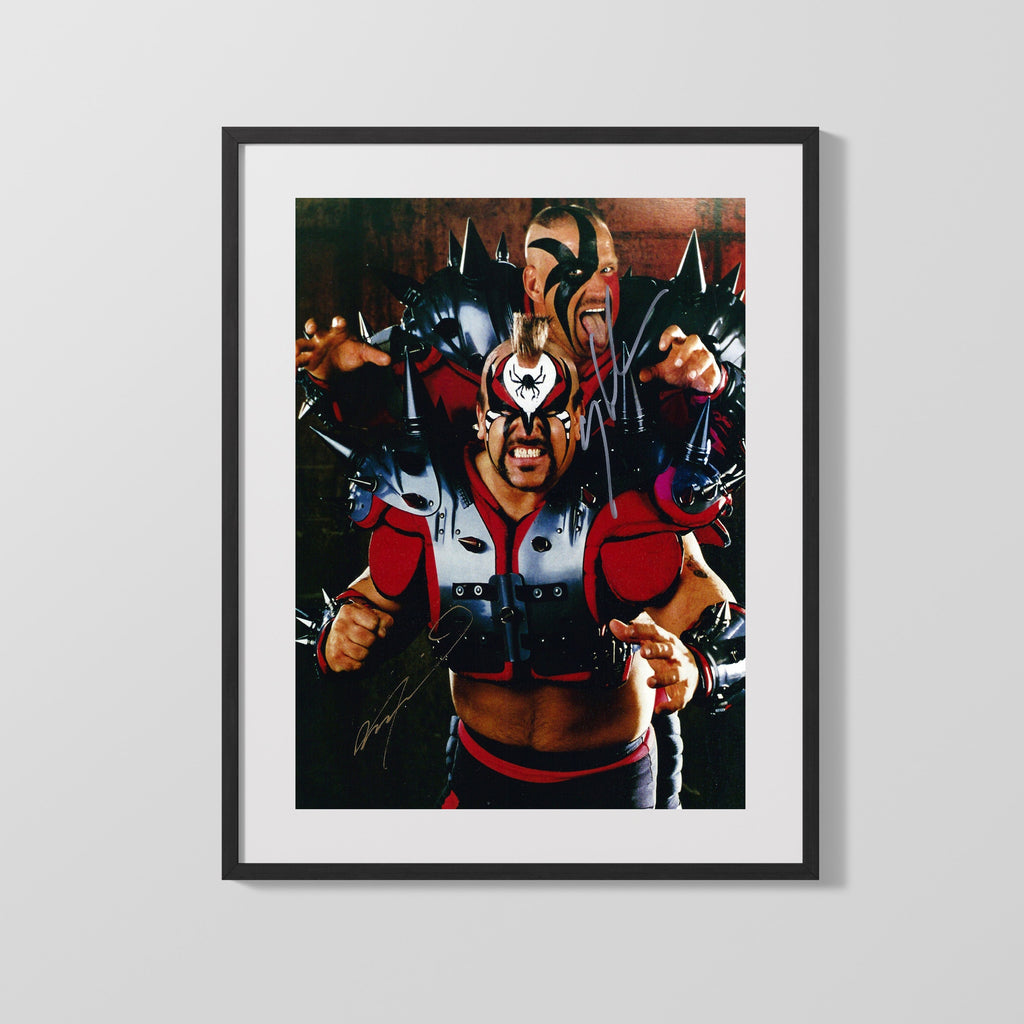 Wrestling Autograph Photo - Road Warriors - Legion of Doom Mayhem Wrestling FramedSportPrints Gallery Frame 16x20