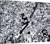 Floating Canvas Wall Art:   Lynn Swann B&W Catch Autograph Print Floating Canvas - Football FSP - Floating Canvas   
