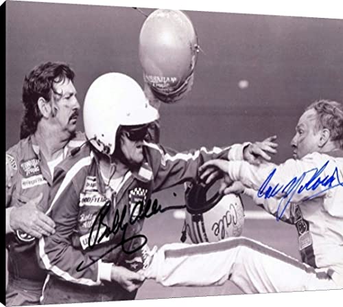 Bobby Allison and Cale Yarbrough Floating Canvas Wall Art - Infield Fight Floating Canvas - NASCAR FSP - Floating Canvas   