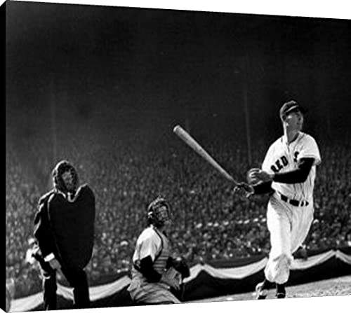Ted Williams Floating Canvas Wall Art - Watching The Hit From Home Plate Floating Canvas - Baseball FSP - Floating Canvas   