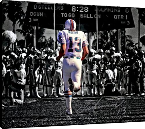 Dan Marino Floating Canvas Wall Art - Orange Bowl Entrance Floating Canvas - Pro Football FSP - Floating Canvas   