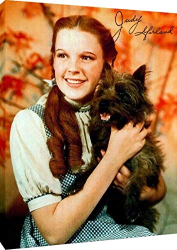 Canvas Wall Art:  Judy Garland Autograph Print - Dorthy in The Wizard of Oz Canvas - Movies FSP - Canvas   