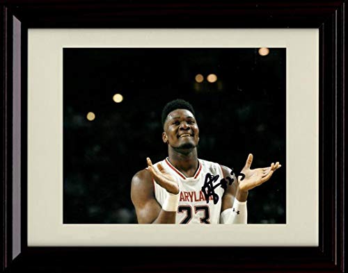 16x20 Framed Bruno Fernando Autograph Promo Print - Celebration - Maryland Terrapins Gallery Print - College Basketball FSP - Gallery Framed   