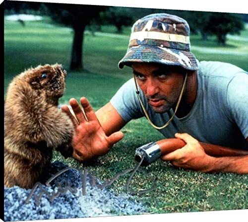 Floating Canvas Wall Art:  Caddyshack Autograph Print - Bill Murray Floating Canvas - Movies FSP - Floating Canvas   